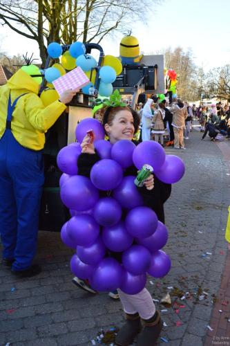 2025-Karneval-Fotos-von-Anne-Nieberding-282