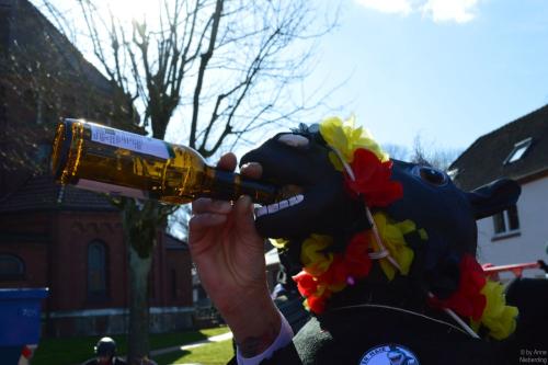 2025-Karneval-Fotos-von-Anne-Nieberding-285